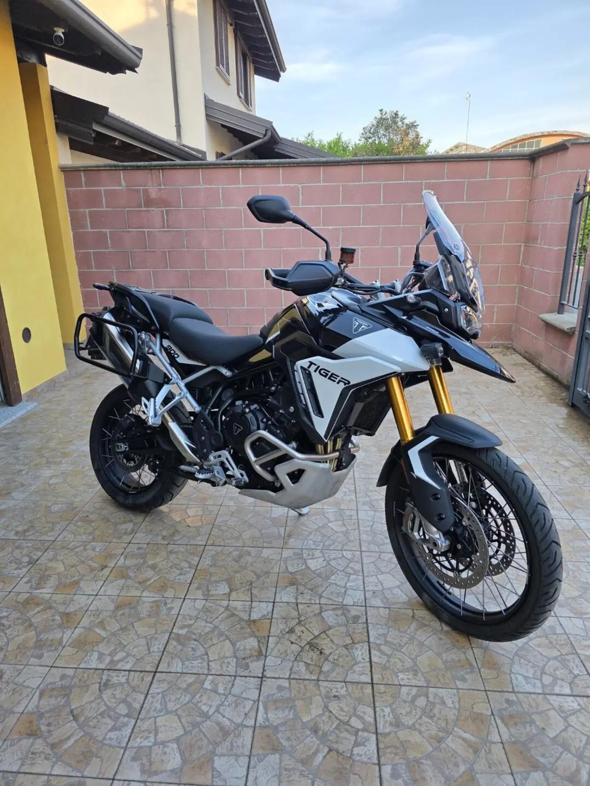 Triumph Tiger 900 Rally Pro (2024 - 26) (4)