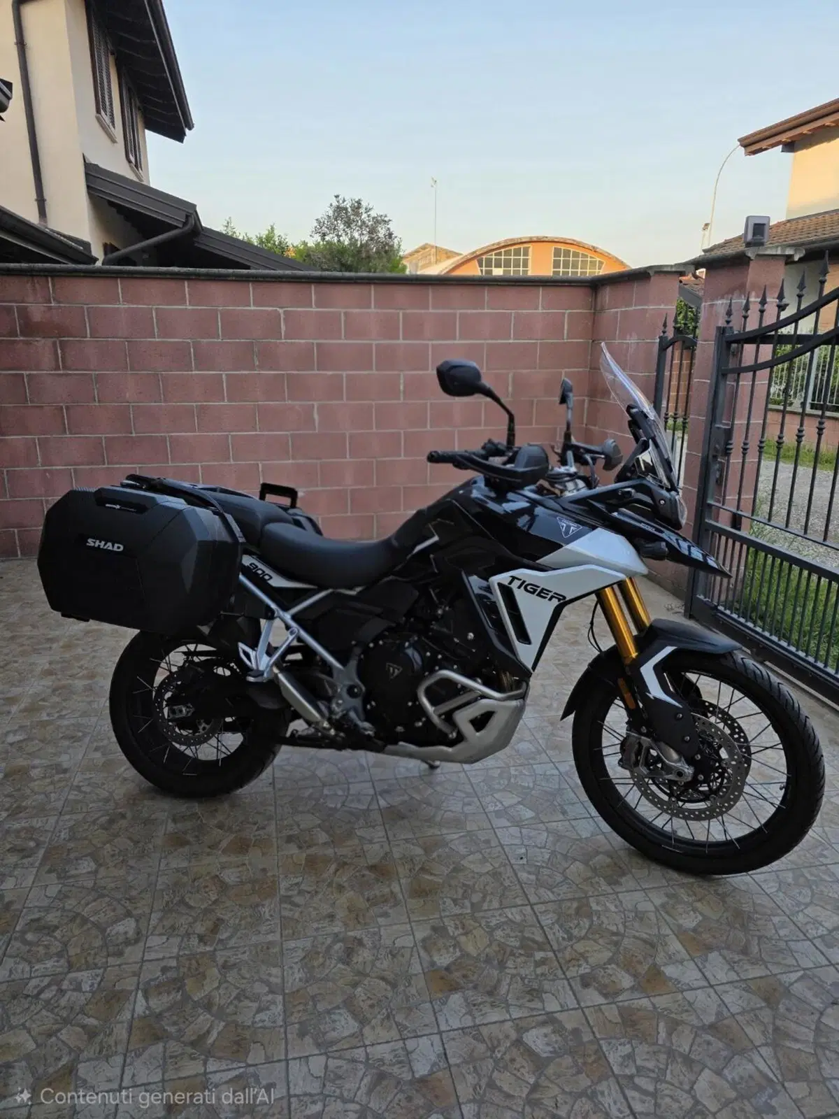 Triumph Tiger 900 Rally Pro (2024 - 26) (5)