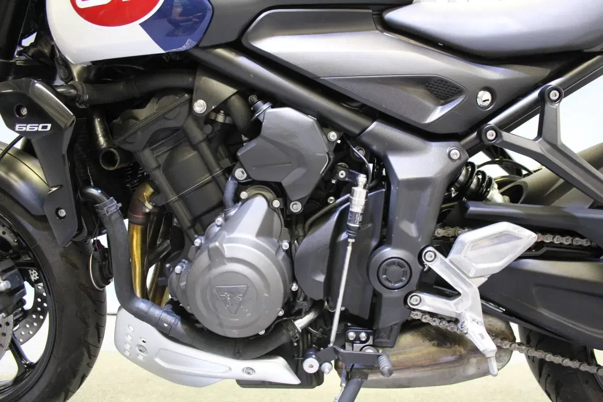 Triumph Trident 660 Triple Tribute Edition (2024) (16)
