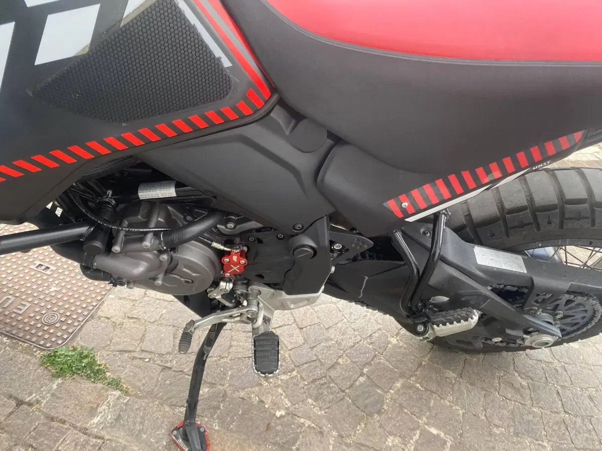 Ducati DesertX (2022 - 25) (8)