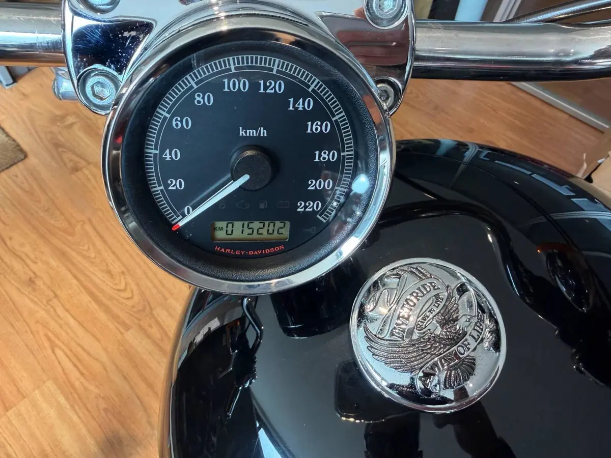 Harley-Davidson 1200 Custom (2007 - 13) - XL 1200C (3)