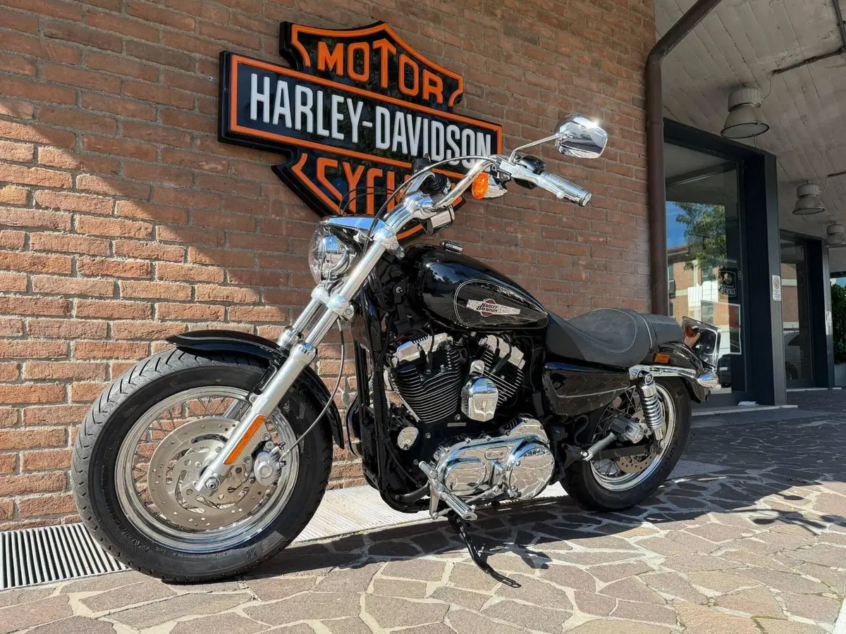 Harley-Davidson 1200 Custom (2007 - 13) - XL 1200C (4)