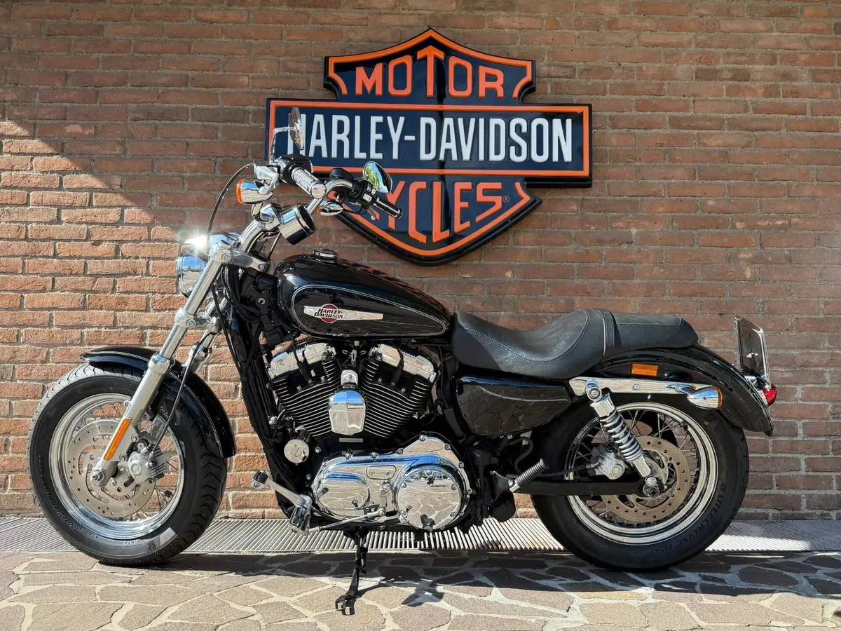 Harley-Davidson 1200 Custom (2007 - 13) - XL 1200C (5)