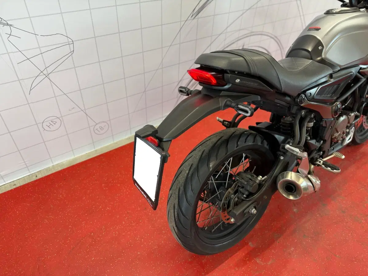 Voge Trofeo 300ACX Scrambler (2021 - 26) (12)