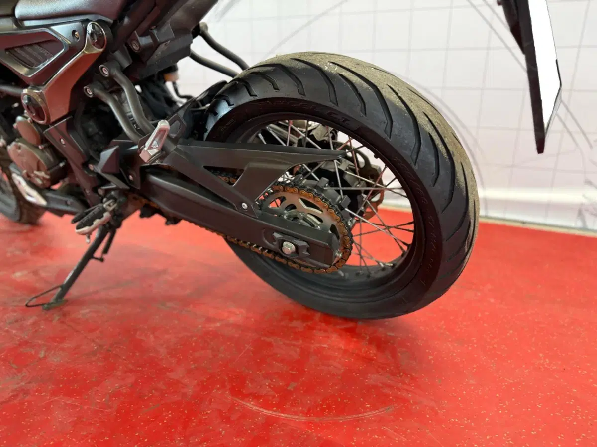 Voge Trofeo 300ACX Scrambler (2021 - 26) (16)