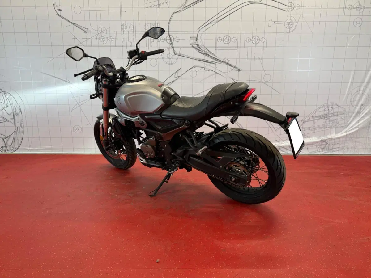 Voge Trofeo 300ACX Scrambler (2021 - 26) (6)