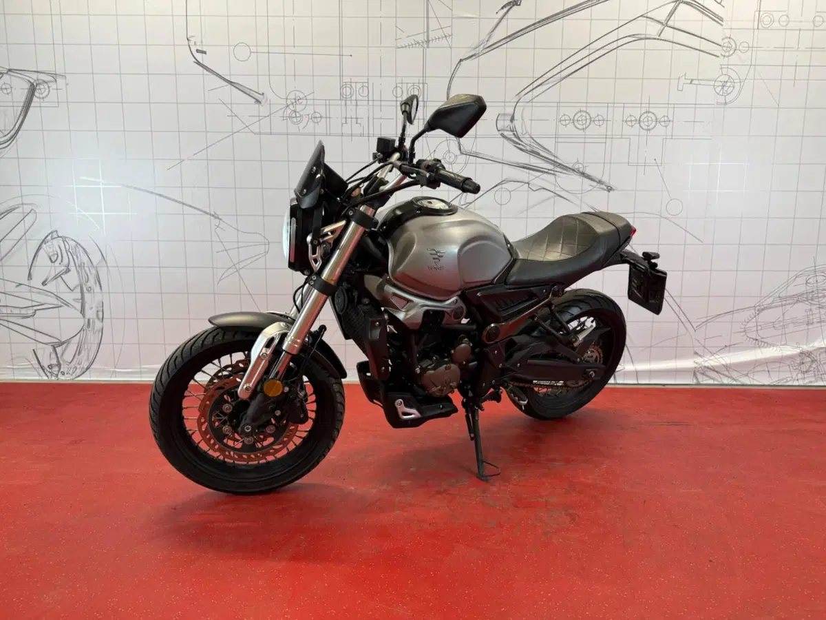 Voge Trofeo 300ACX Scrambler (2021 - 26) (5)