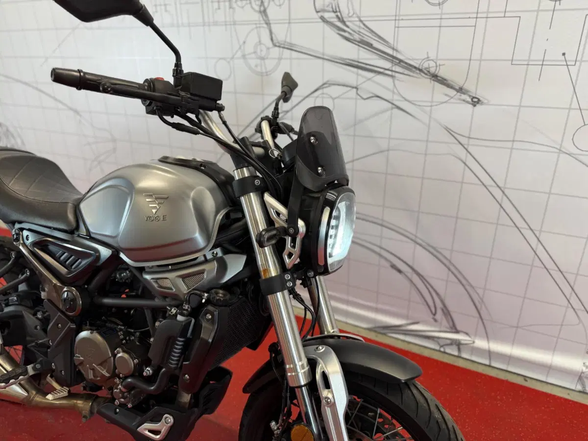 Voge Trofeo 300ACX Scrambler (2021 - 26) (10)