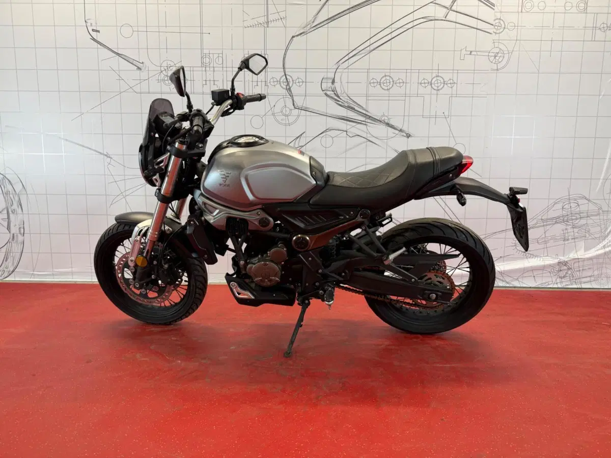 Voge Trofeo 300ACX Scrambler (2021 - 26) (4)