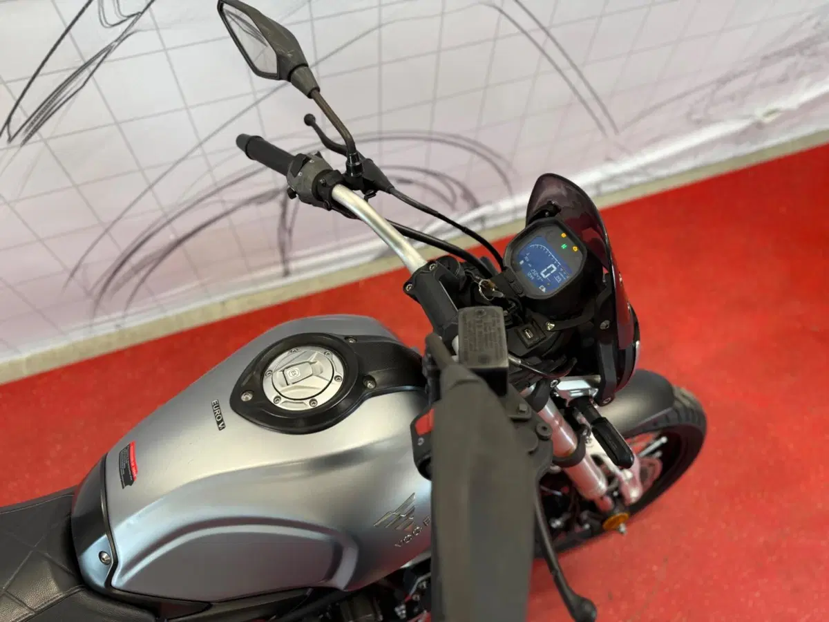 Voge Trofeo 300ACX Scrambler (2021 - 26) (8)