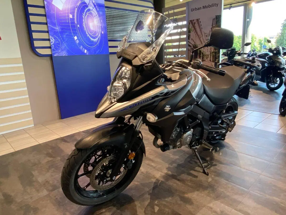 Suzuki V-Strom 650 (2021 - 25) (5)