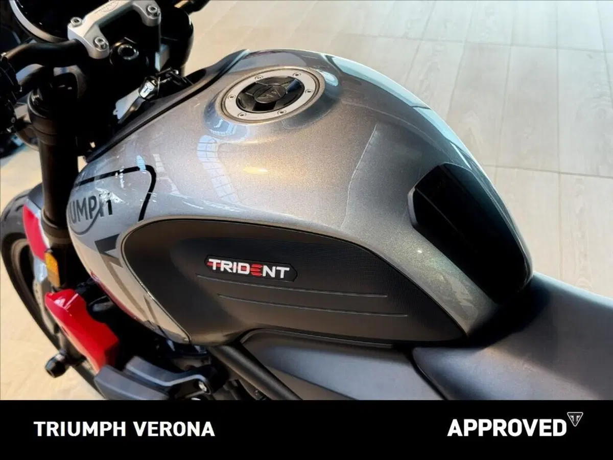 Triumph Trident 660 (2021 - 24) (6)