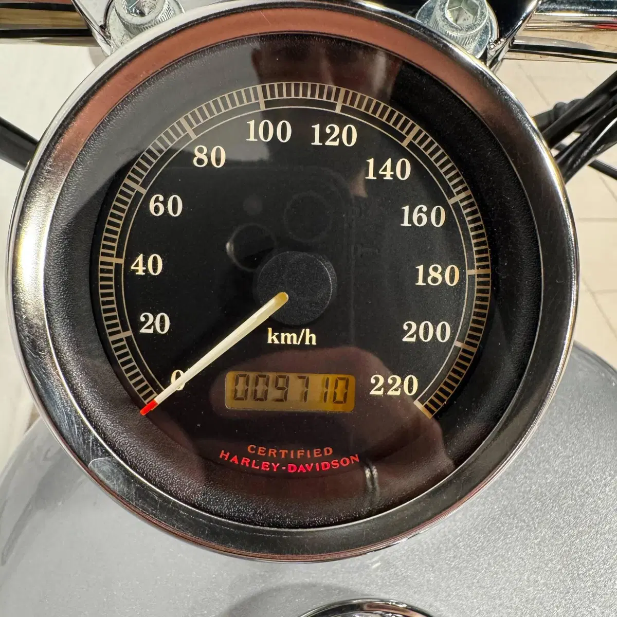 Harley-Davidson 883 Custom (2001 - 05) - XL 53C (4)