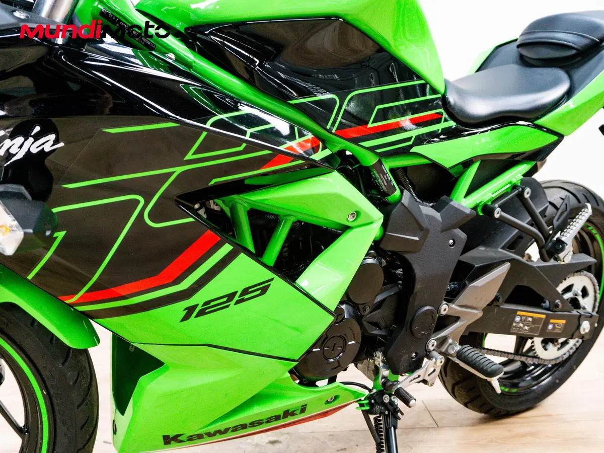 Kawasaki Ninja 125 (2025 - 26) (9)