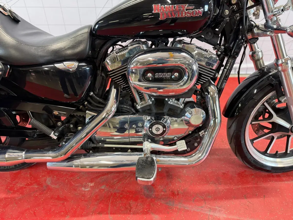 Harley-Davidson 1200 SuperLow (2014 - 16) - XL 1200T (11)