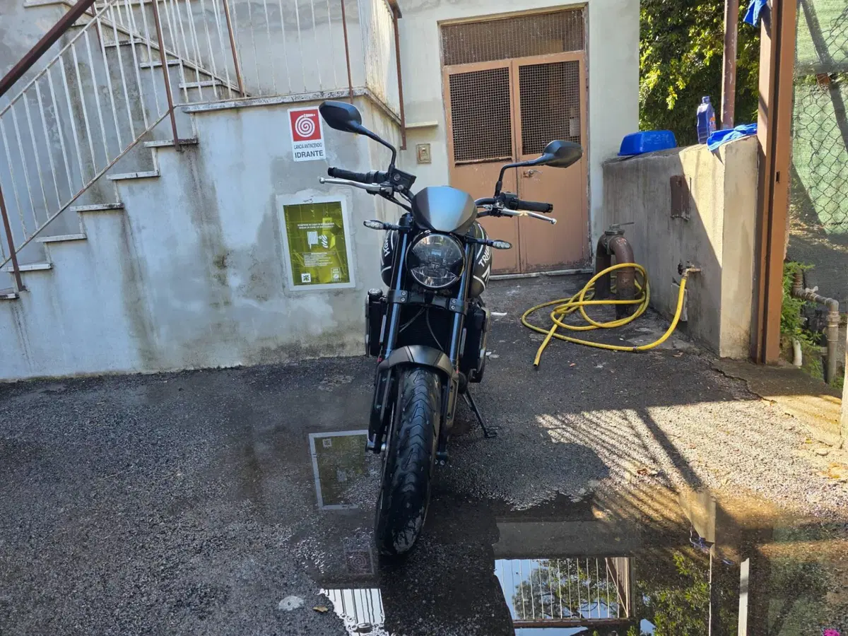 Triumph Trident 660 (2021 - 24) (2)
