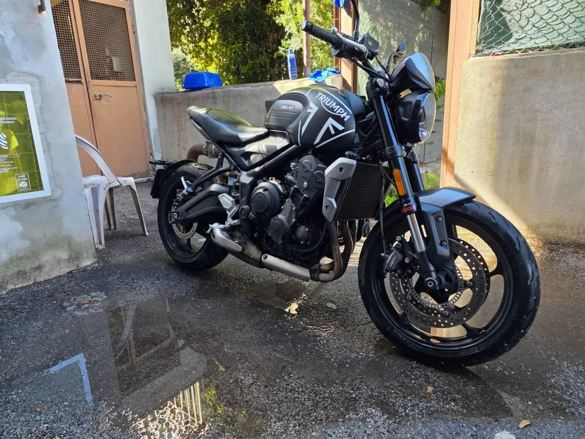 Triumph Trident 660 (2021 - 24) (3)