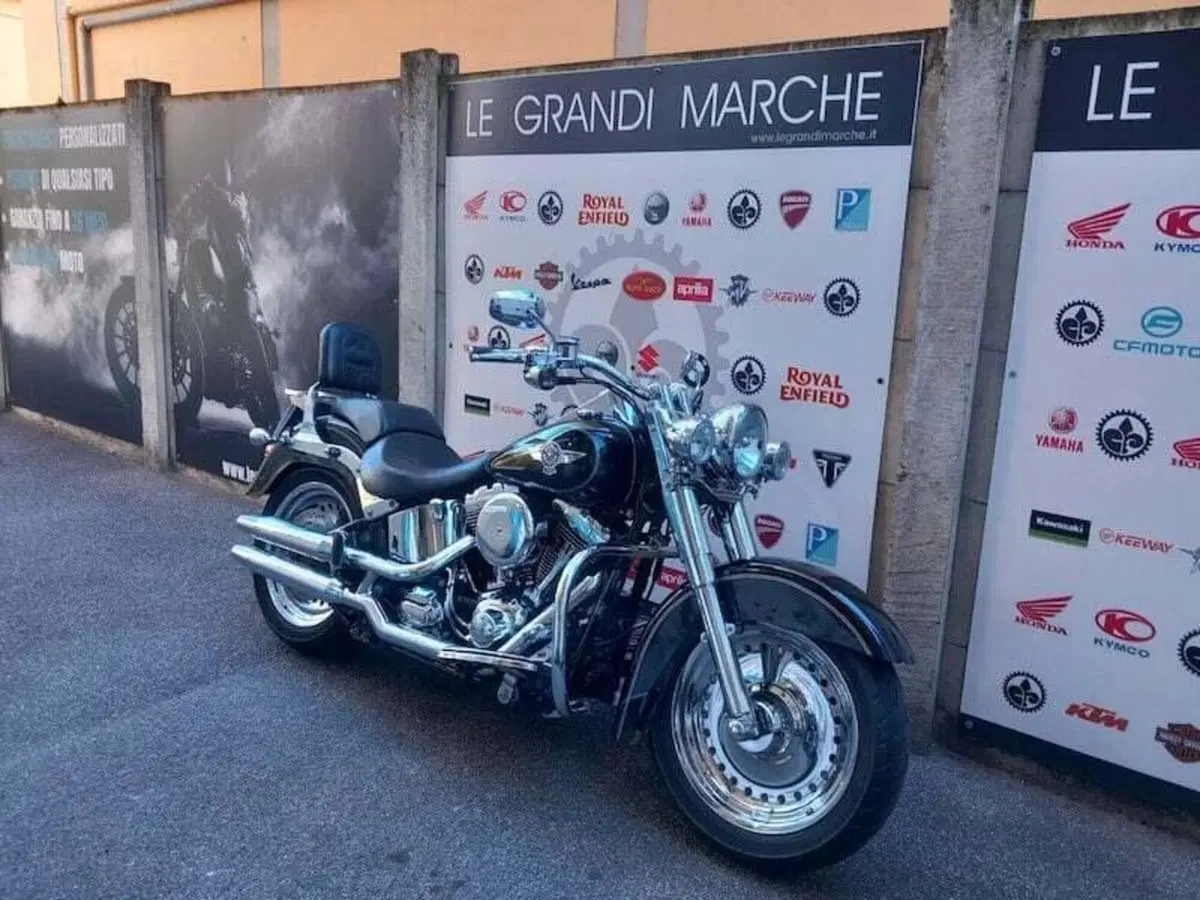 Harley-Davidson 1690 Fat Boy Special (2010 - 17) - FLSTF (11)