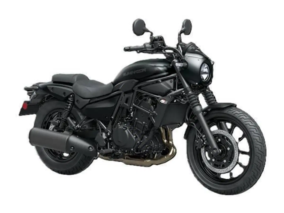 Kawasaki Eliminator 500 SE (2024 - 26)