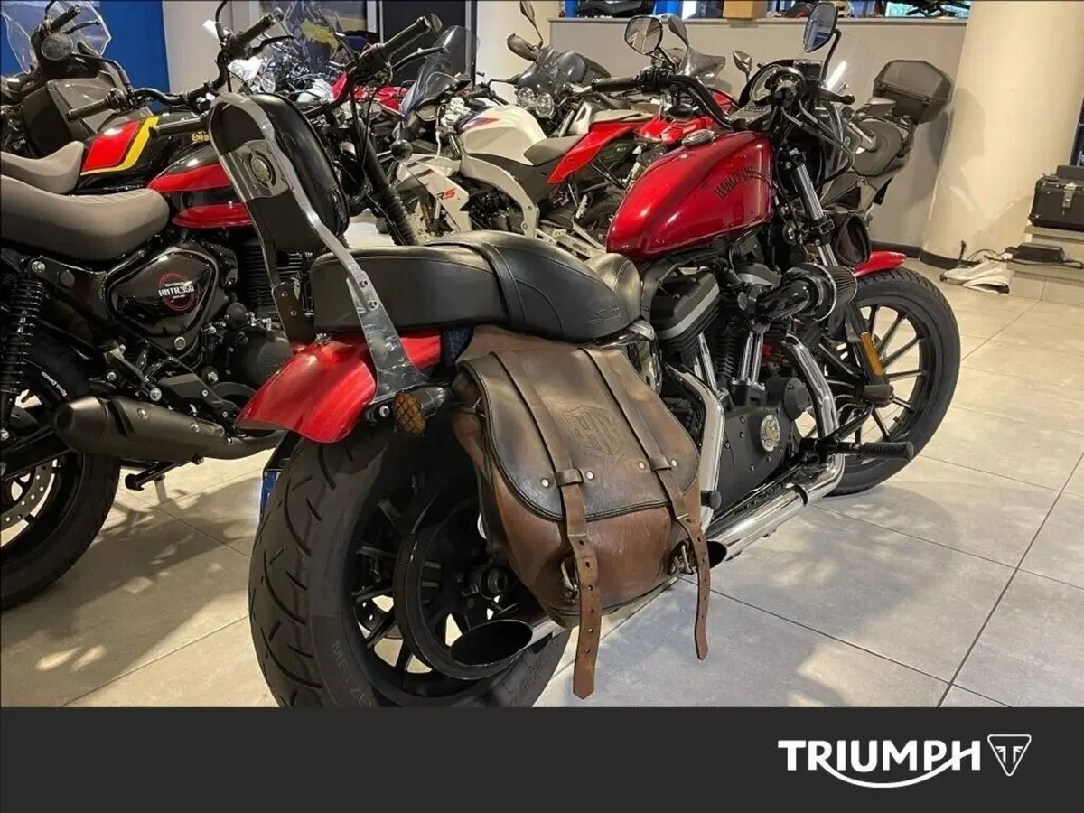 Harley-Davidson 883 Iron (2012 - 14) - XL 883N (2)