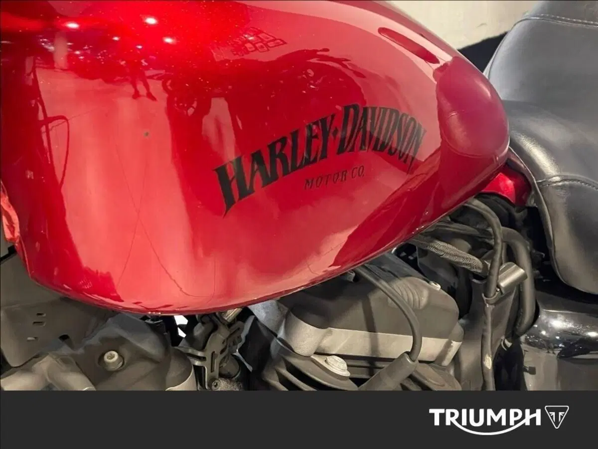 Harley-Davidson 883 Iron (2012 - 14) - XL 883N (3)