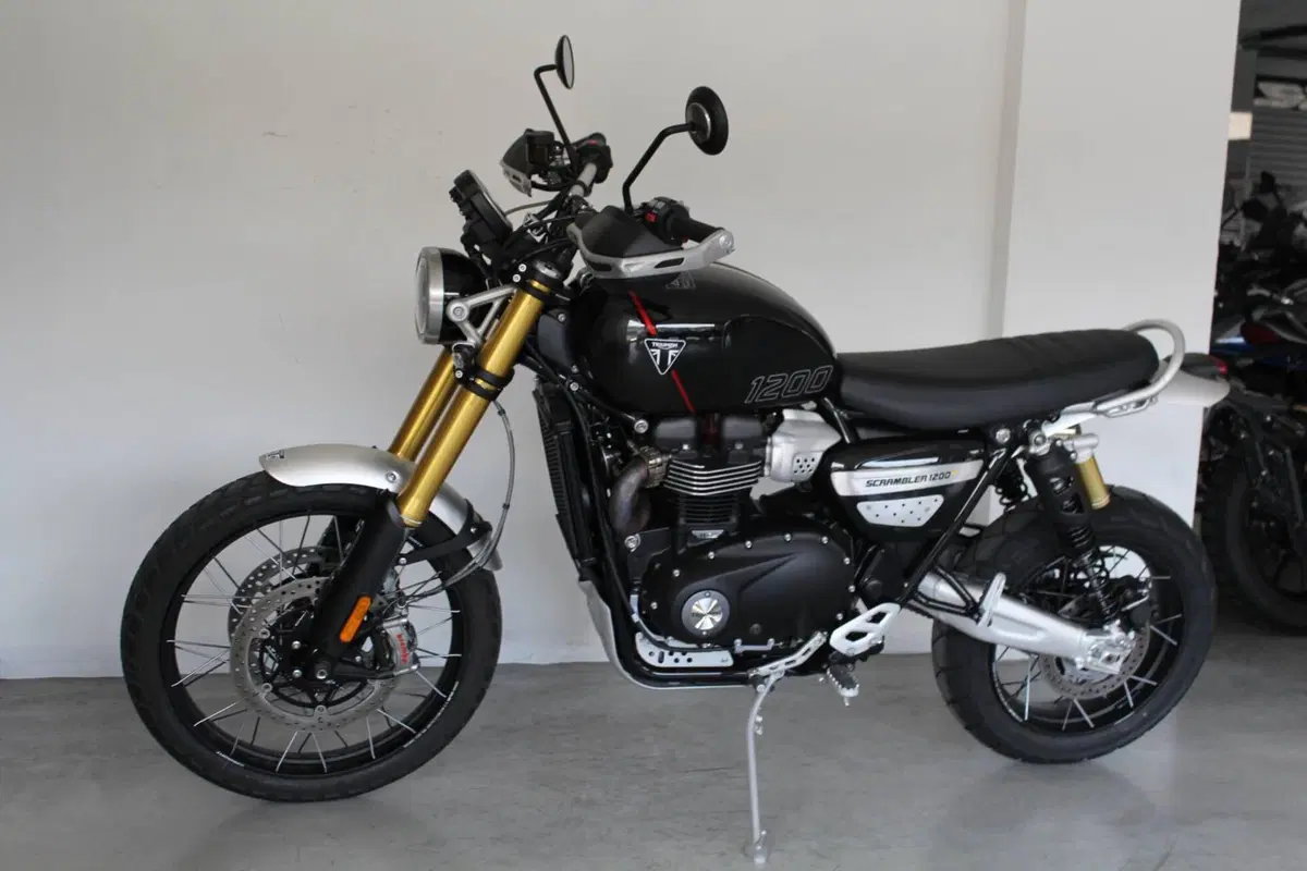 Triumph Scrambler 1200 XE (2024 - 25) (3)