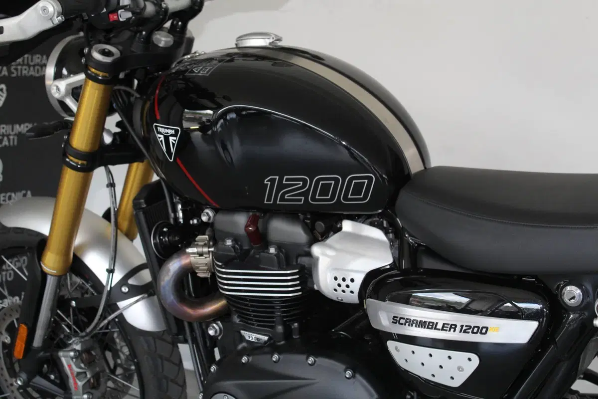 Triumph Scrambler 1200 XE (2024 - 25) (5)