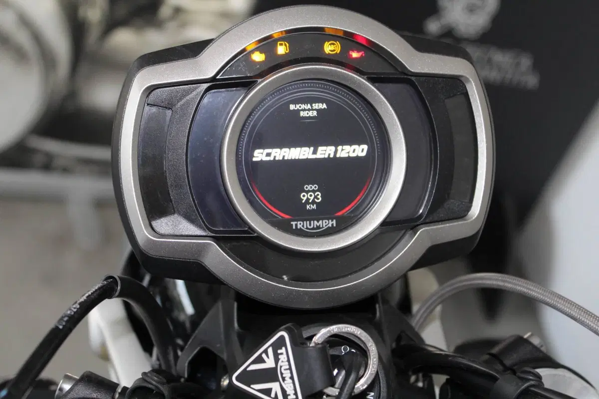 Triumph Scrambler 1200 XE (2024 - 25) (6)