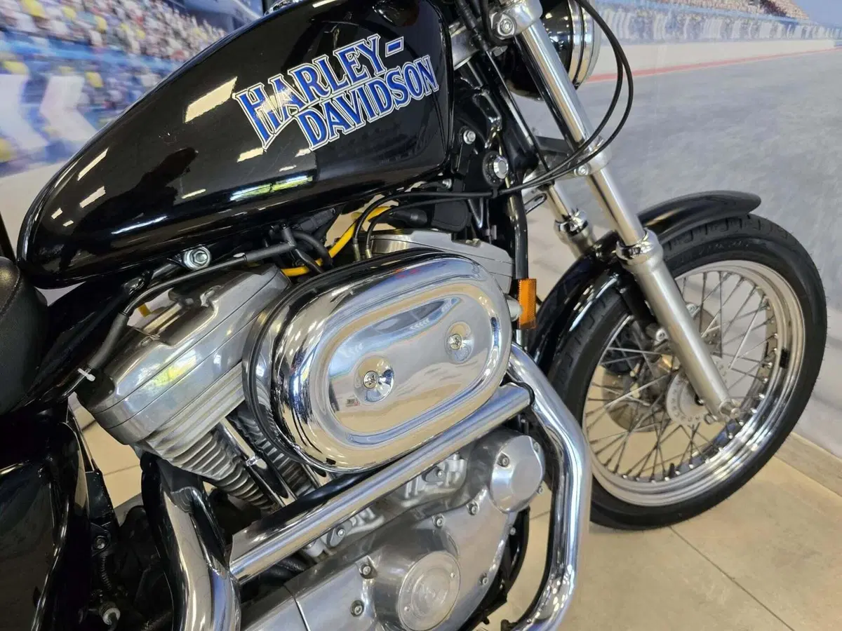 Harley-Davidson 883 Standard (1994 - 00) - XLH (18)