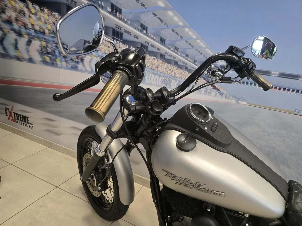 Harley-Davidson 1584 Street Bob (2008 - 15) - FXDB (11)