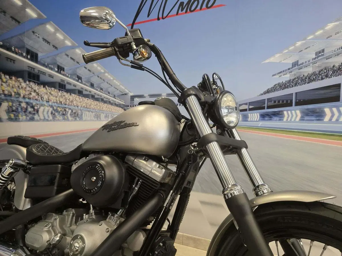 Harley-Davidson 1584 Street Bob (2008 - 15) - FXDB (15)
