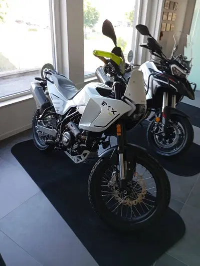 Benelli BKX 300 (2026) nuova