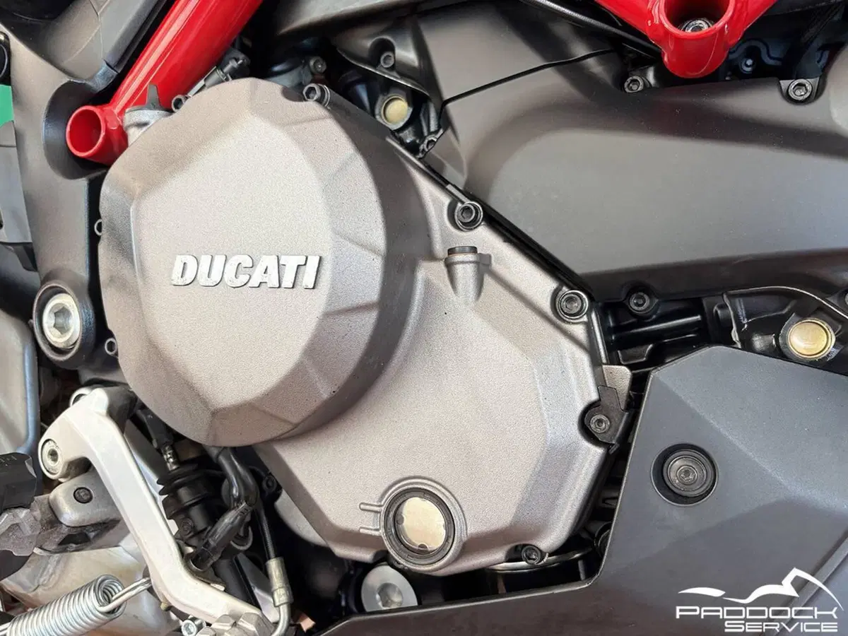 Ducati Multistrada 950 S (2019 - 20) (11)