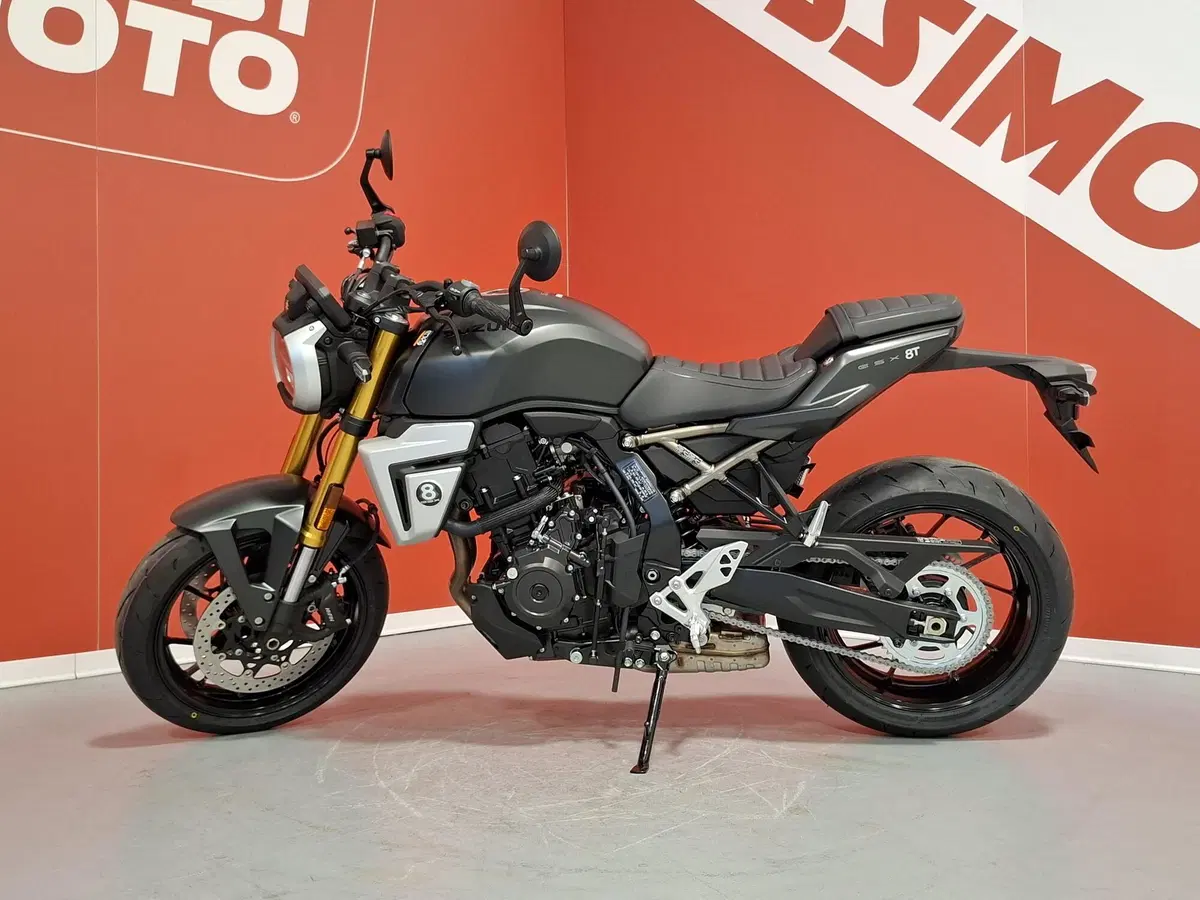 Suzuki GSX-8S (2025 - 26) (2)