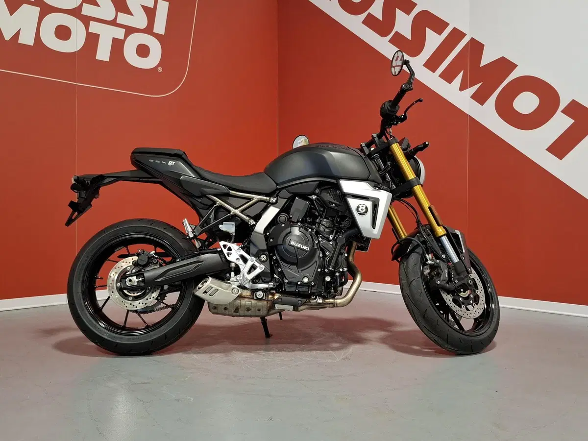 Suzuki GSX-8S (2025 - 26) (3)