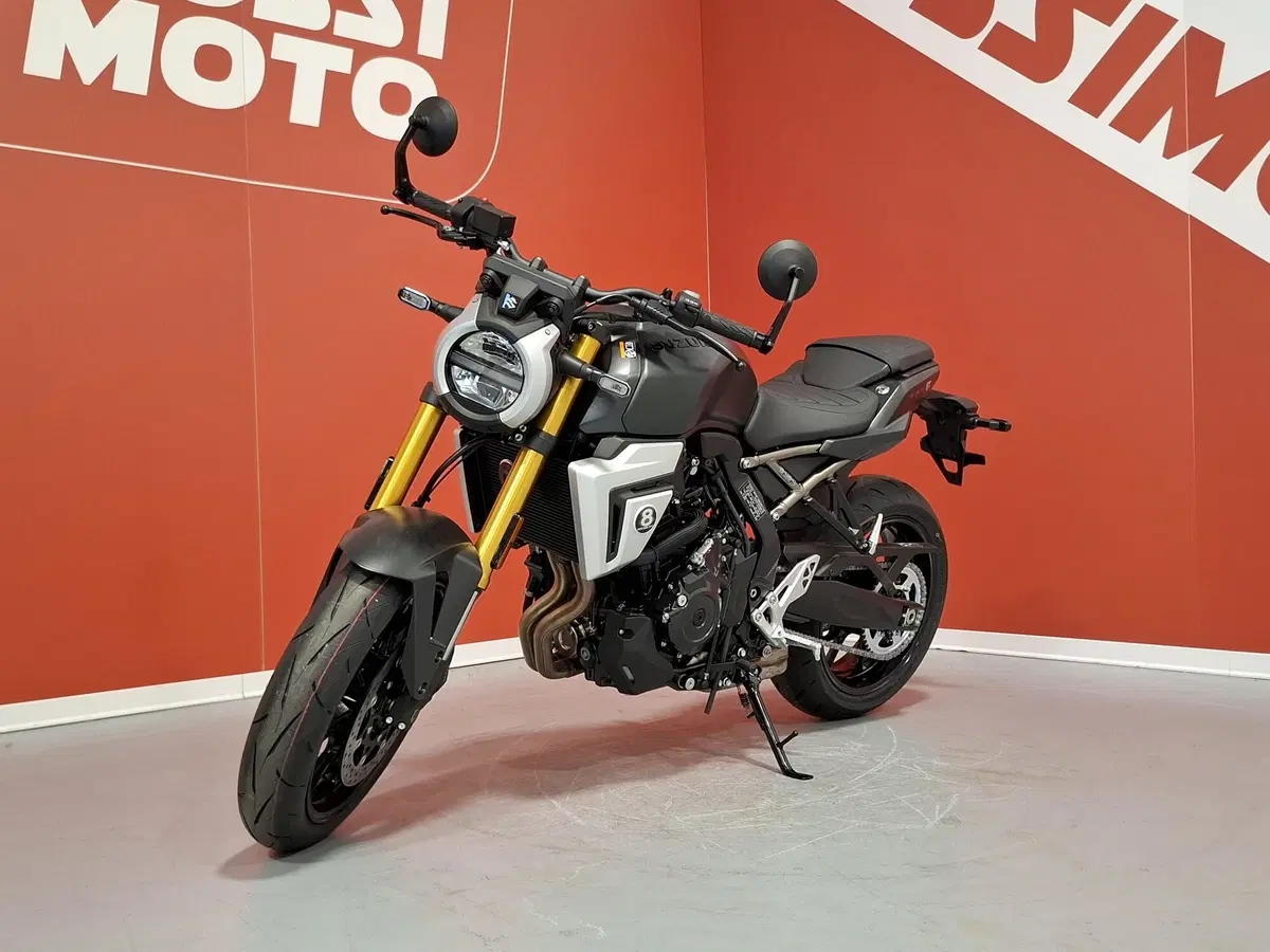 Suzuki GSX-8S (2025 - 26) (4)
