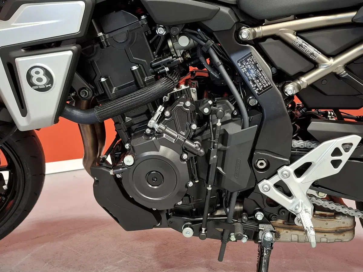 Suzuki GSX-8S (2025 - 26) (9)