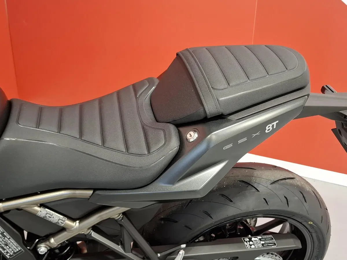 Suzuki GSX-8S (2025 - 26) (10)