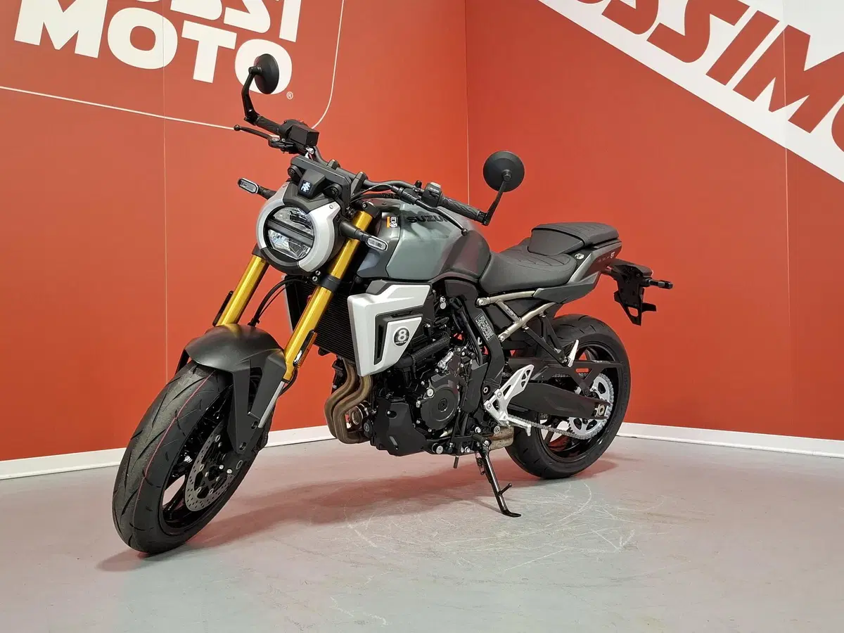 Suzuki GSX-8S (2025 - 26) (2)