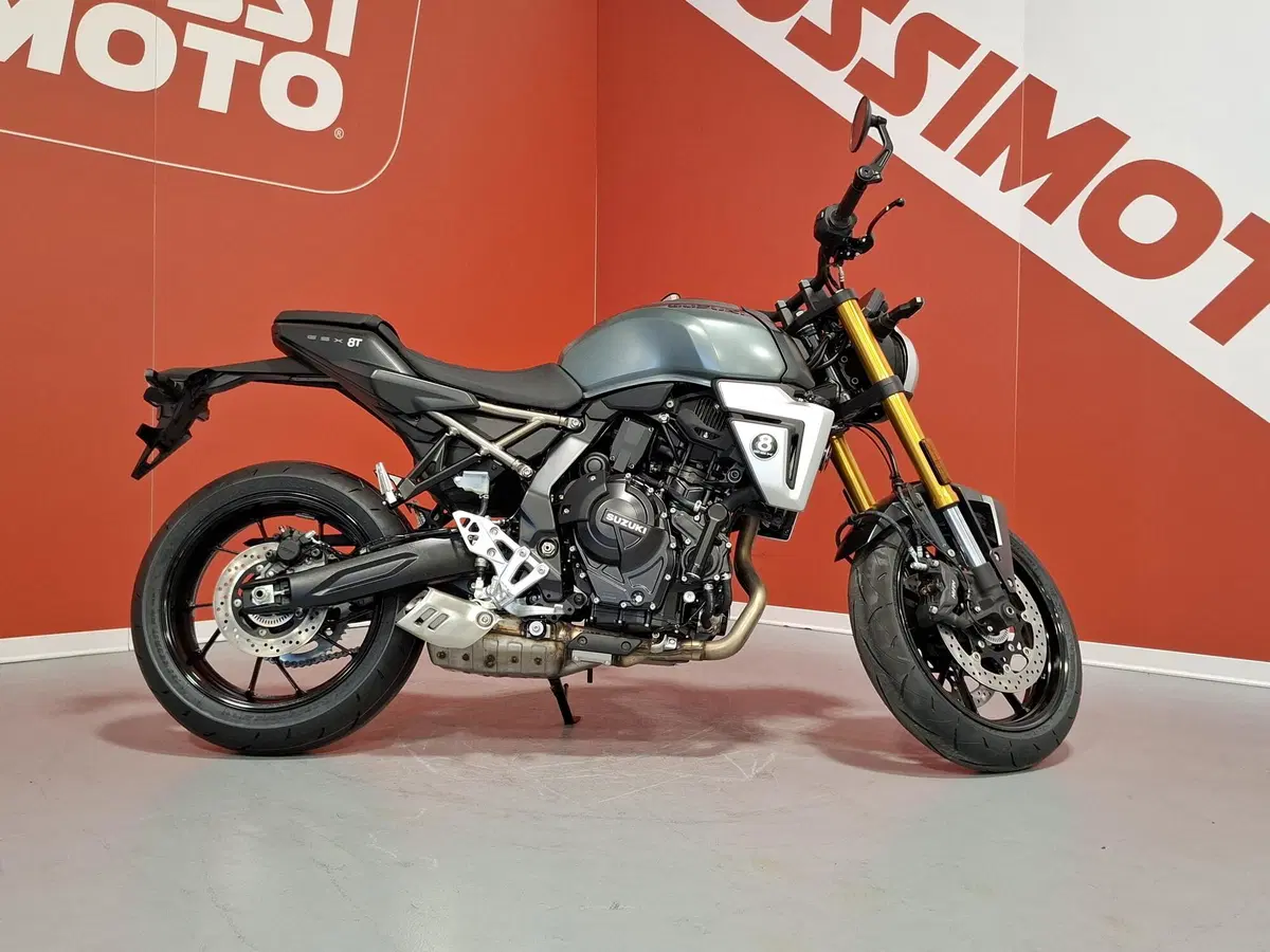 Suzuki GSX-8S (2025 - 26) (3)