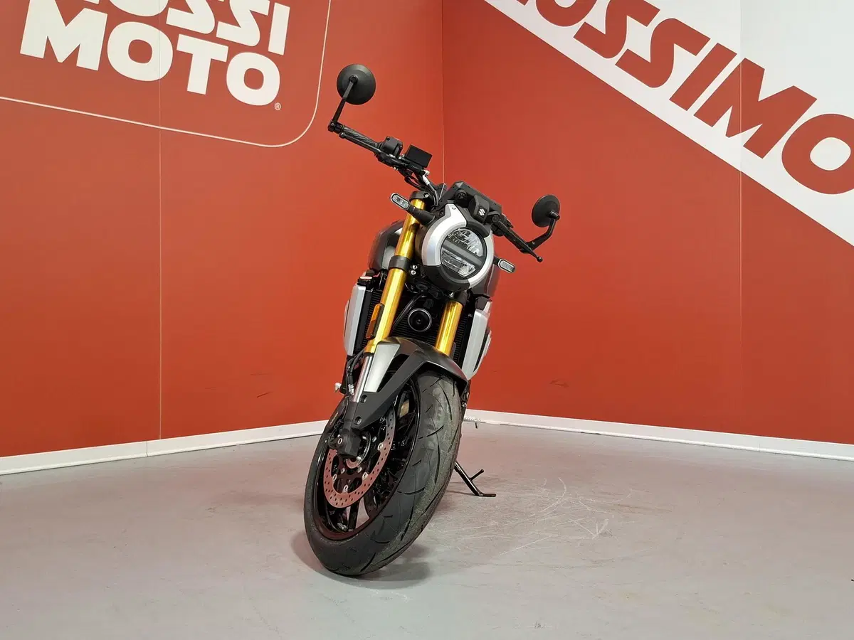Suzuki GSX-8S (2025 - 26) (6)