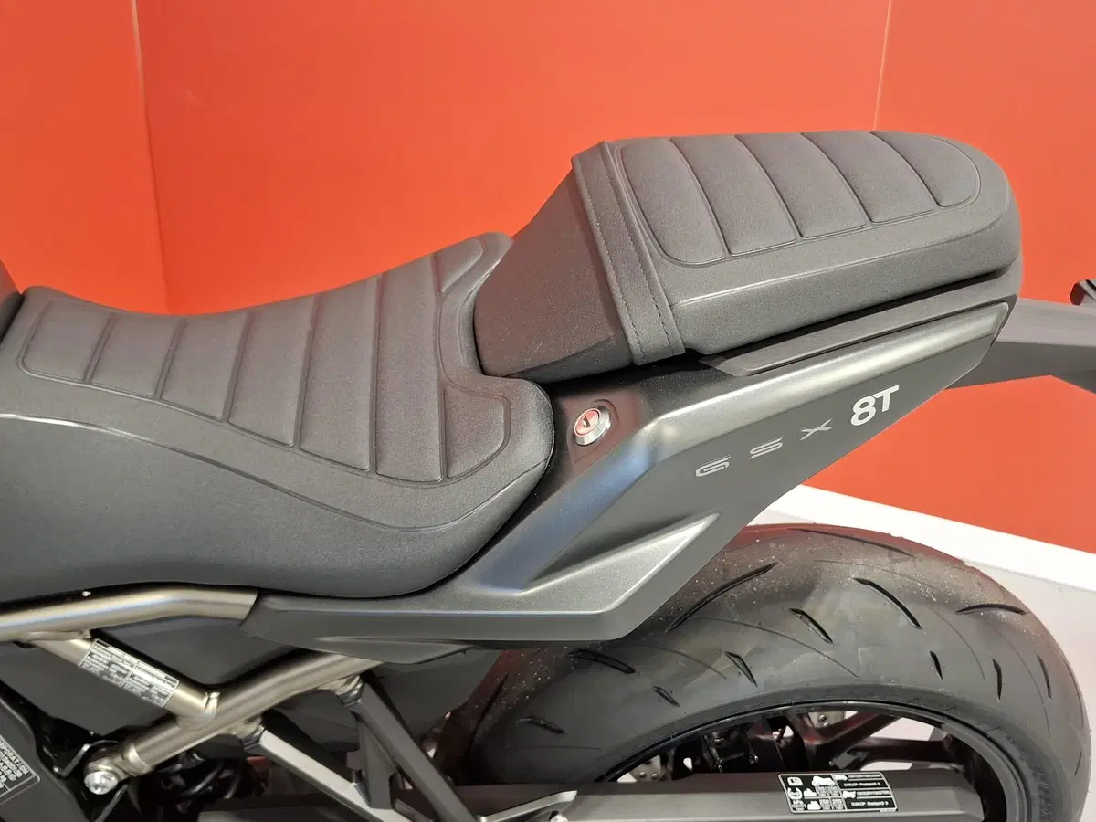 Suzuki GSX-8S (2025 - 26) (10)