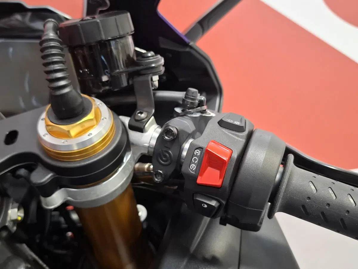Aprilia RSV4 1100 Factory (2025 - 26) (4)