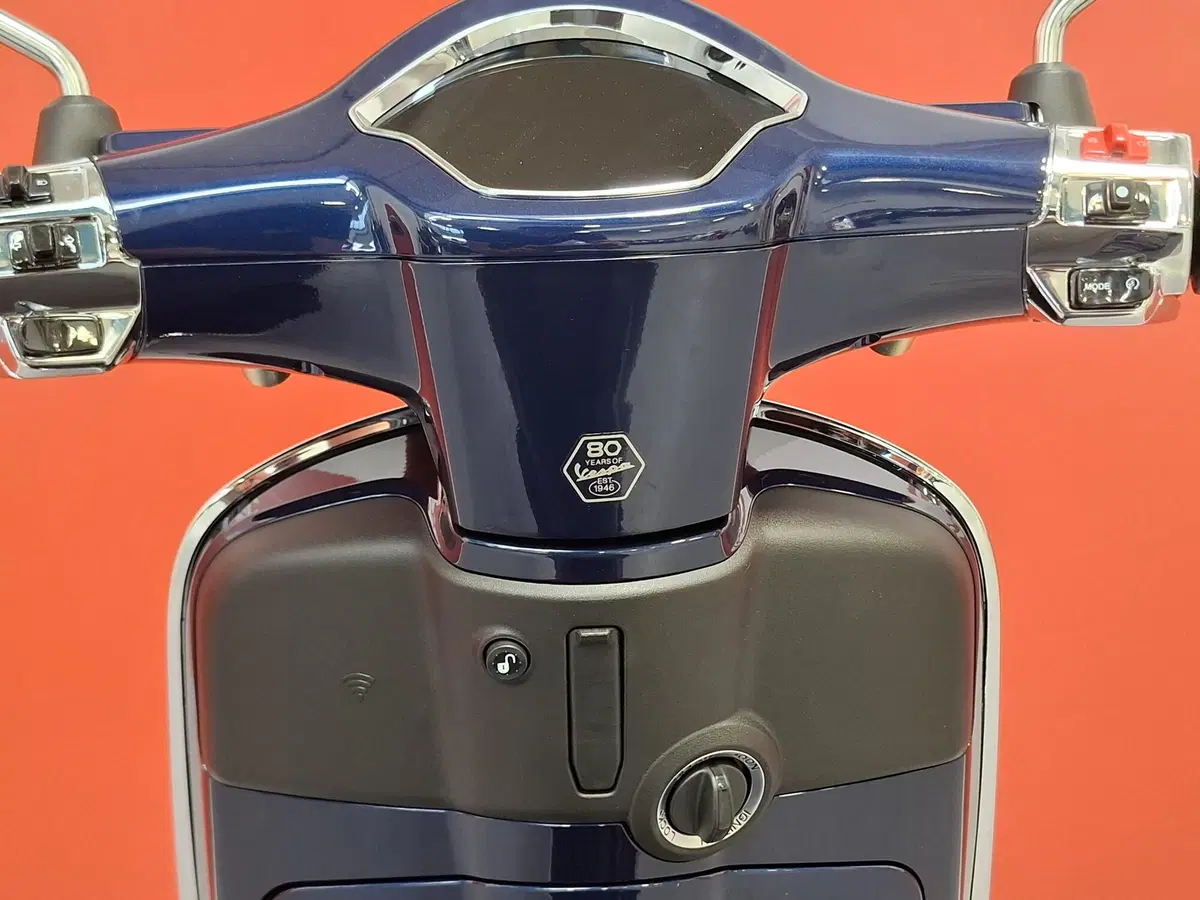 Vespa Primavera 150 (2024 - 25) (9)