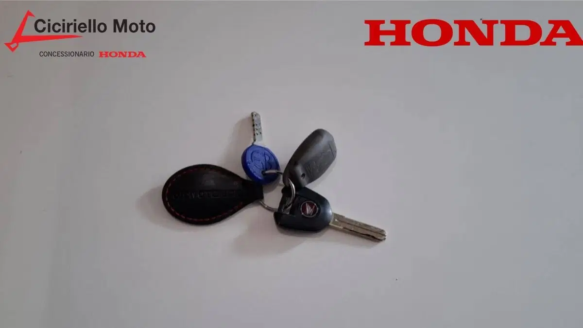 Honda Africa Twin CRF 1100L (2020 - 21) (4)