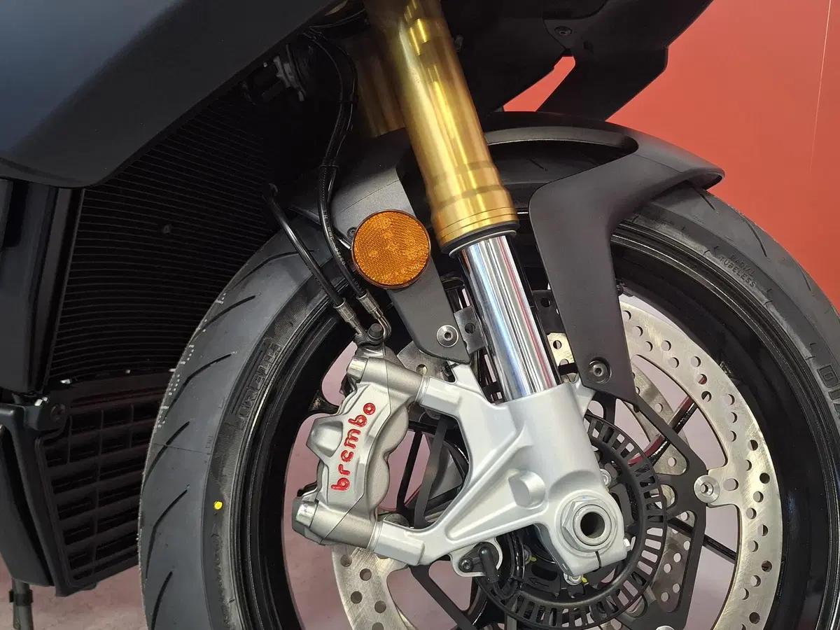 Aprilia Tuono V4 (2025 - 26) (5)
