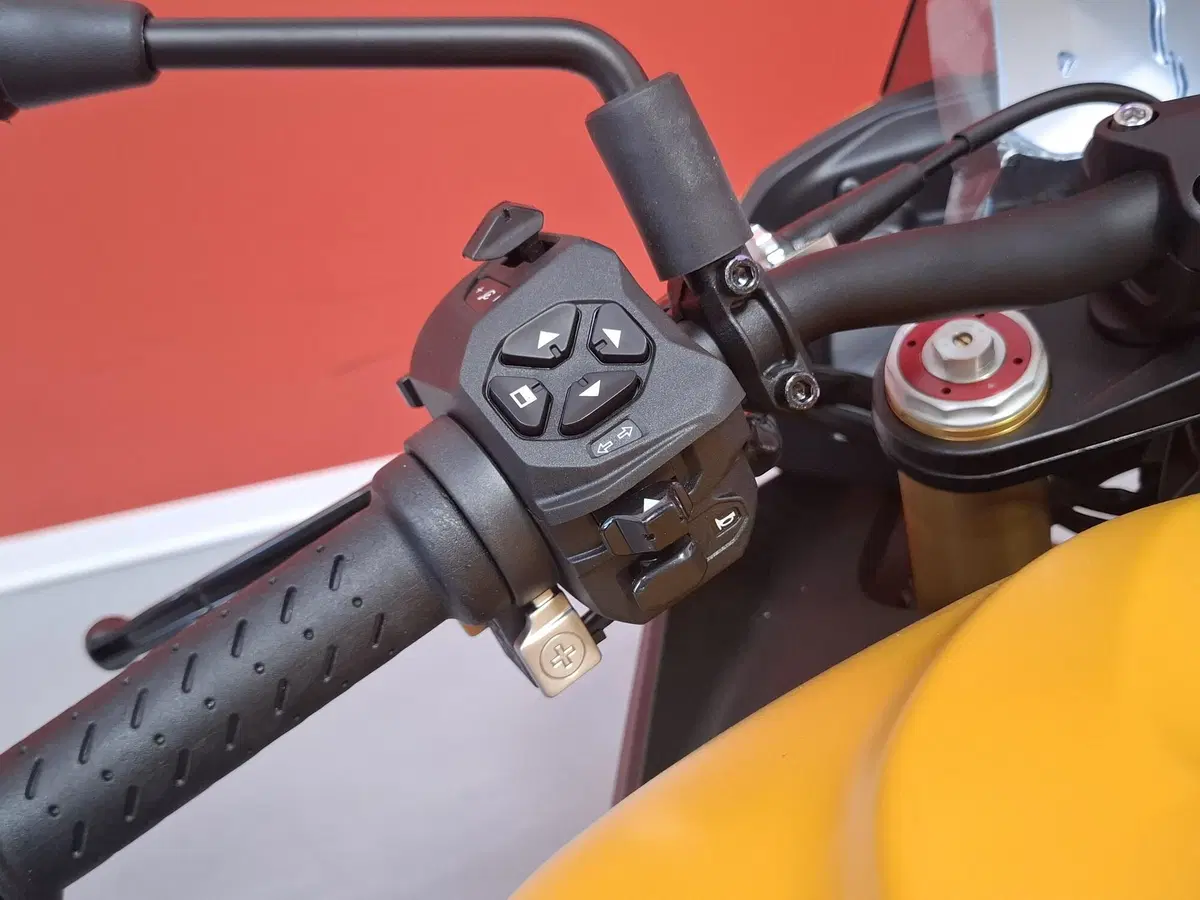 Aprilia Tuono V4 (2025 - 26) (9)