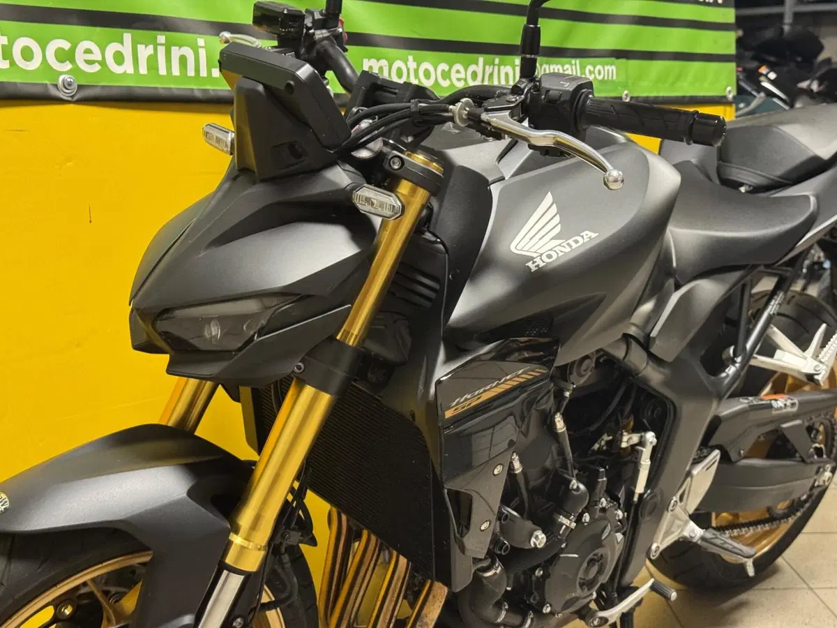 Honda CB 1000 Hornet (2025 - 26) (7)