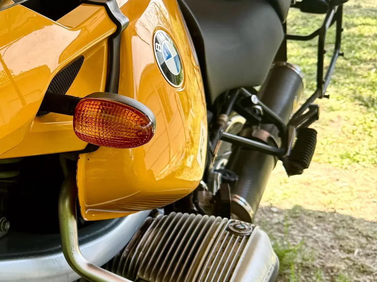 Bmw R 1150 GS (1999 - 03) (5)