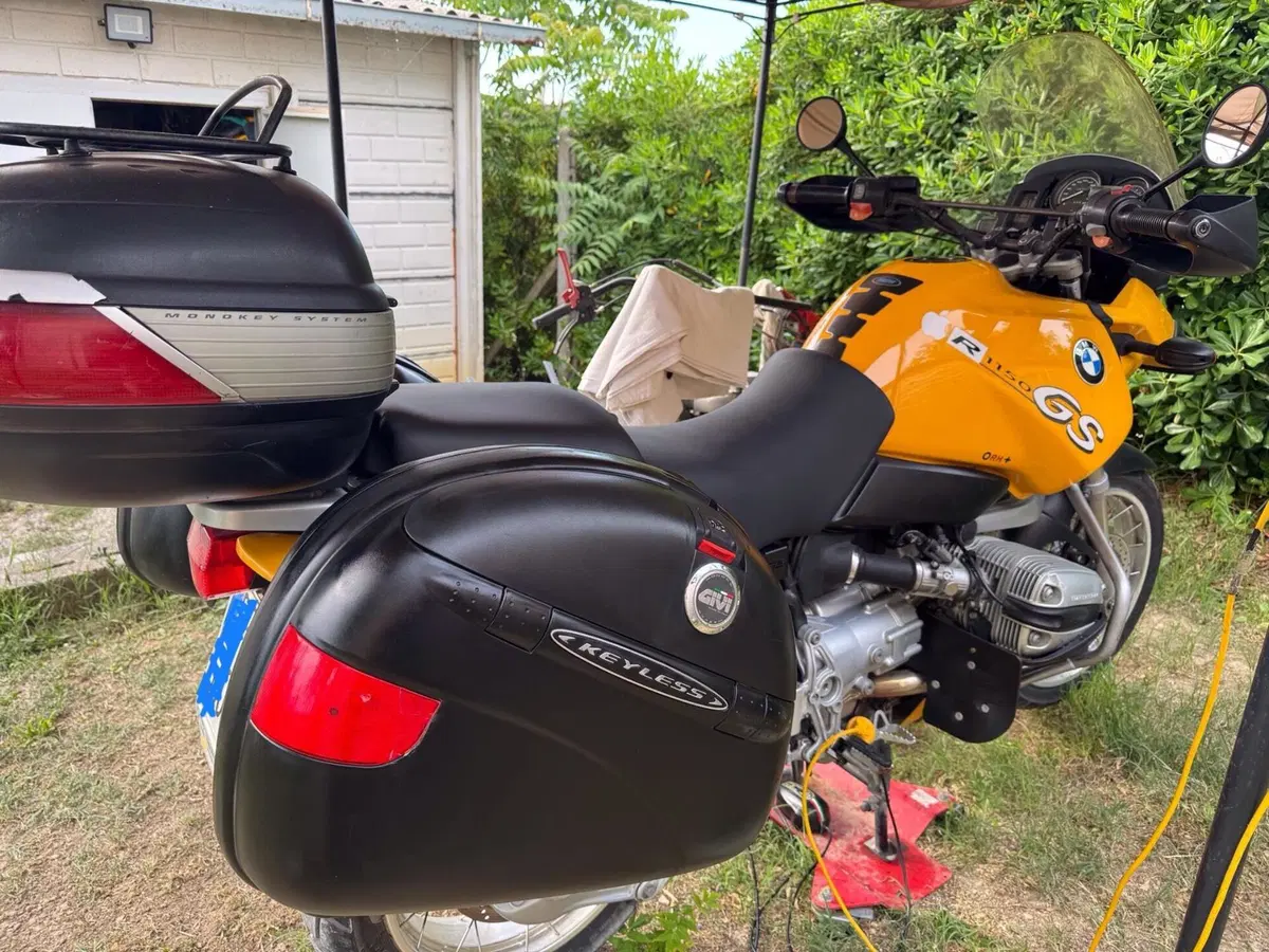 Bmw R 1150 GS (1999 - 03) (8)